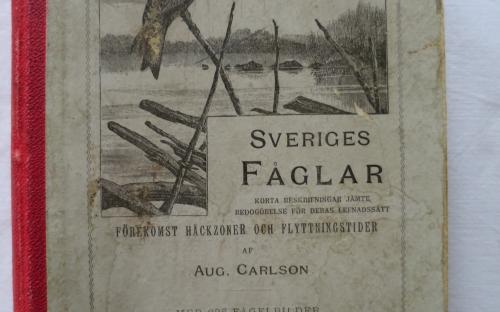 Sveriges Fåglar